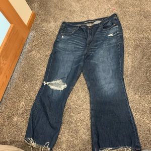 Plus Size Jeans